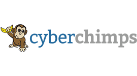 Best WORDPRESS THEMES - Cyberchimps.com
